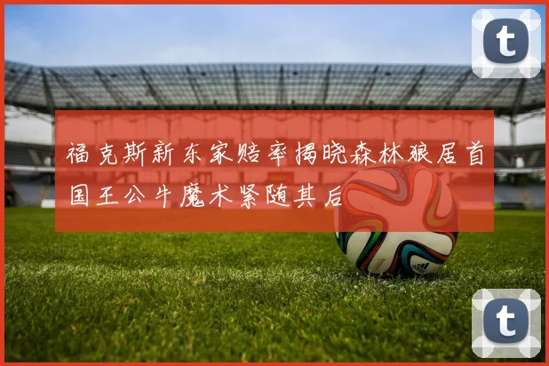 福克斯新东家赔率揭晓森林狼居首国王公牛魔术紧随其后